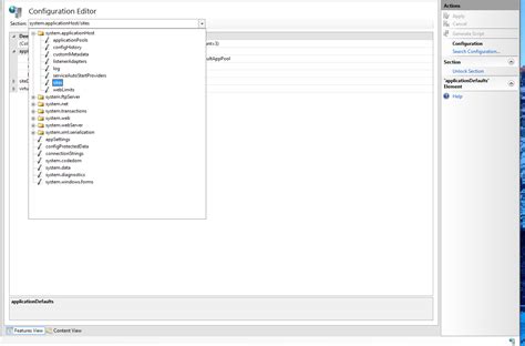 Living And Breathing The World Of Microsoft Using The Iis