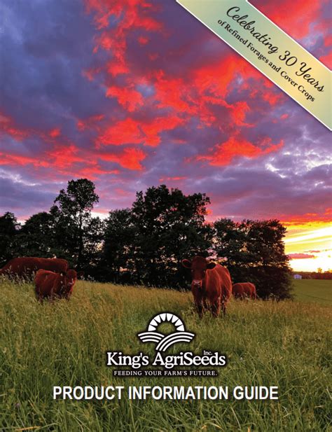 Agriculture Seed Company High Energy Forages King S AgriSeeds