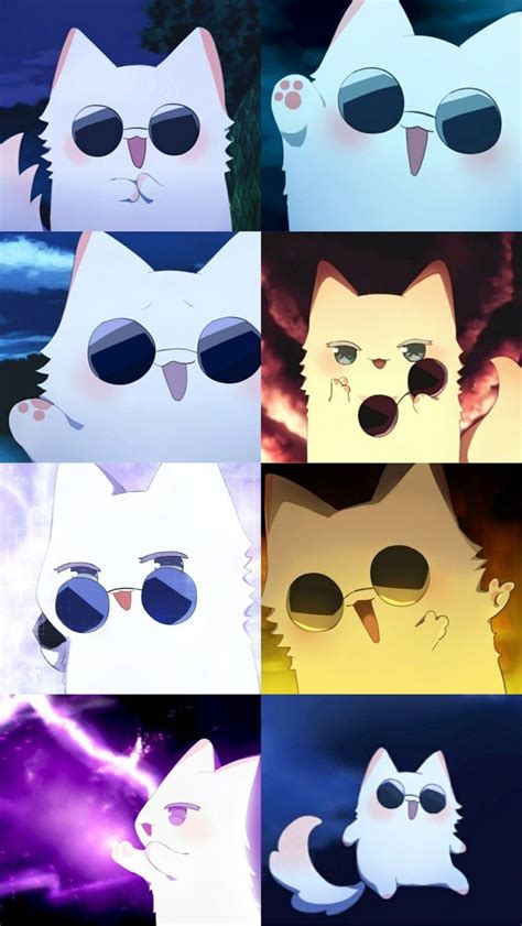 Gojo Cat Wallpaper Anime Chibi Anime Character Design Anime Canvas
