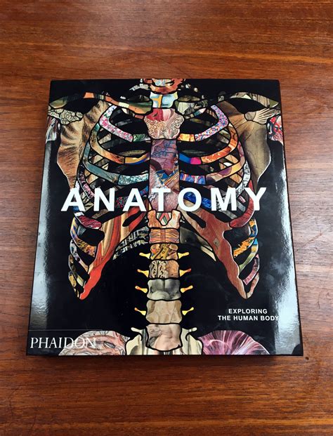 Anatomy Exploring The Human Body By Phaidon — Howie Tsui 徐浩恩