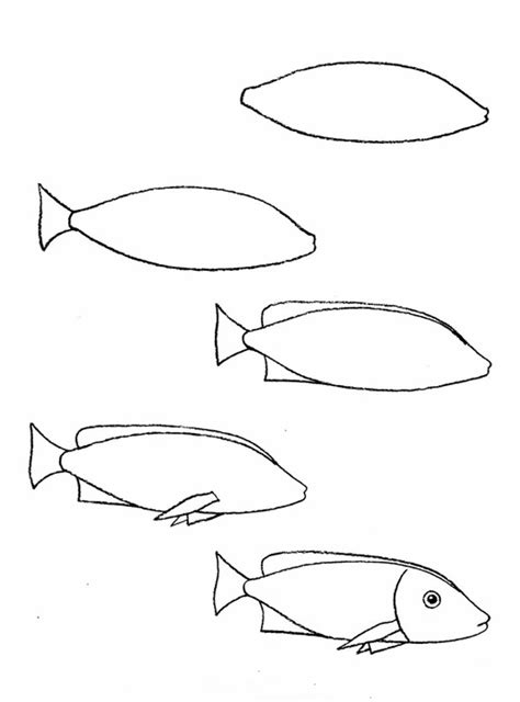 The images above represents how your finished drawing is going to look and the steps involved. Drawing of simple fish: 10 step-by-step lessons, part 3 ...