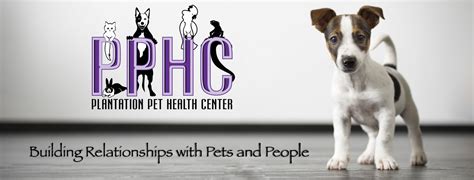 D, dewitt (mi), 48820, united states. PPHC - Plantation Pet Health Center
