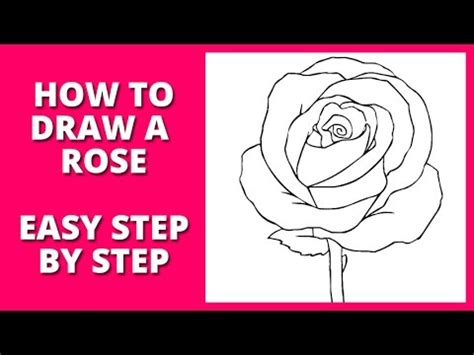 How to draw a realistic and open rose step by step? How to Draw a Rose Step by Step for Beginners - YouTube
