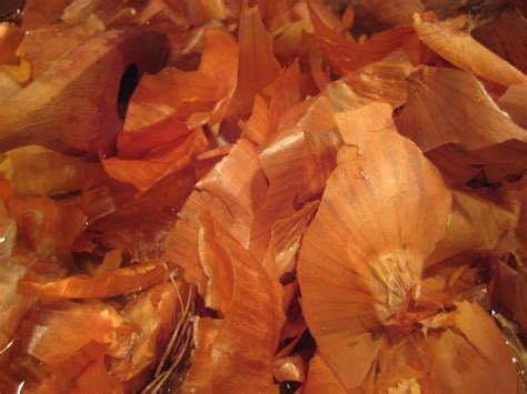 They make you cry… onions has 3 vowels 33. Tree Peeps: yellow onion skin dye
