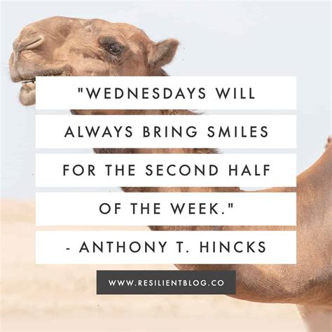 Wednesday Quotes For A Happier Hump Day Resilient