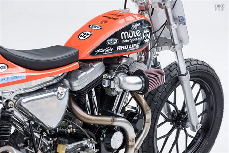 How To Build A Harley Sportster Flat Tracker The Mule Way Bike Exif