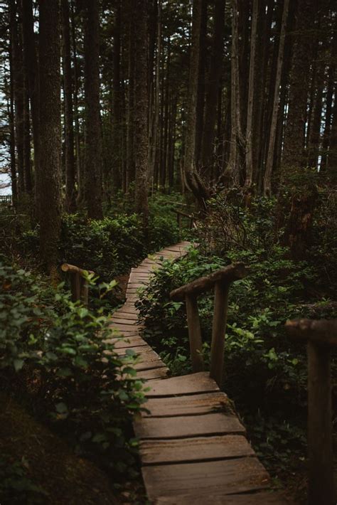 Aesthetic Forest Wallpaper Aesthetic Forest Tumblr Largest