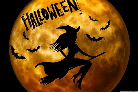 Halloween Witch Wallpapers Top Free Halloween Witch Backgrounds