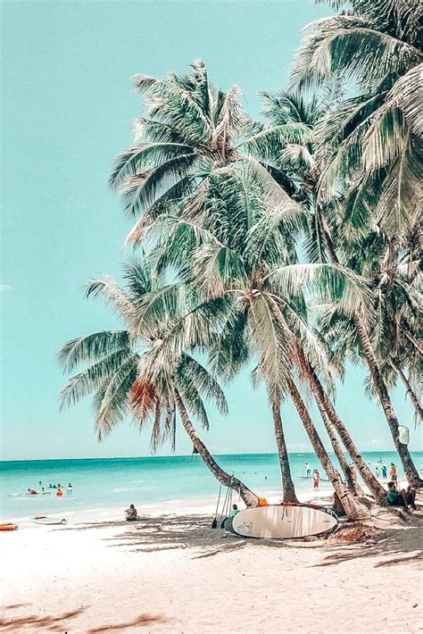 Summer Beach Wall Collage Beach Phone Wallpaper Palm Tree Pictures