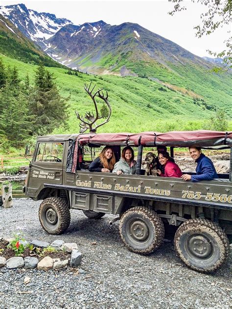 Girdwood Summer Sled Dog Adventure | Kennel Tour & Cart… | ALASKA.ORG