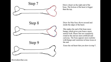 How To Draw A Dog Bone Bones Lesson Step Drawing Tutorial Video