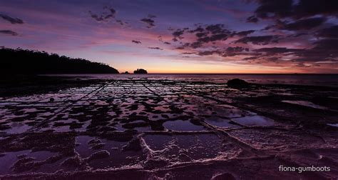 Sunrise Over The Tessellated Pavement By Fiona Gumboots Redbubble