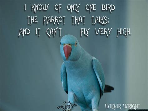 Parrot Quotes Quotesgram