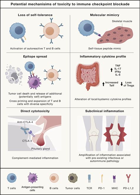 Hallmarks Of Response Resistance And Toxicity To Immune Checkpoint