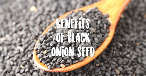 3.black seeds oil have been in use in culinary applications and as a mouth freshener since ancient times. 8 Miraculous Benefits of Black Onion Seed - Danette May