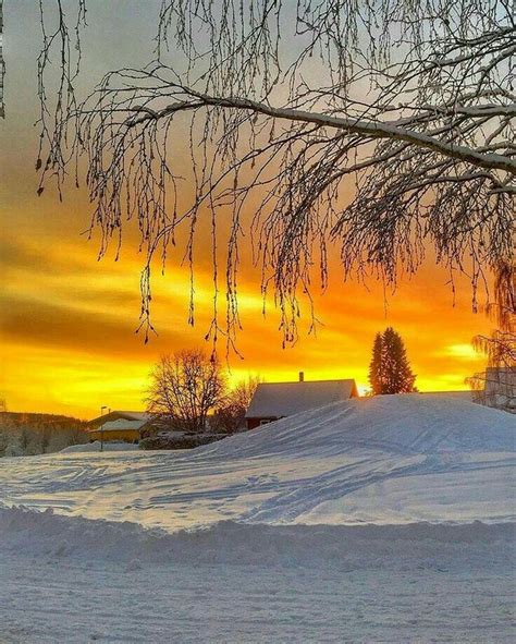 Winter Sunset Paisaje Invernal Paisaje Nieve Atardecer De Invierno
