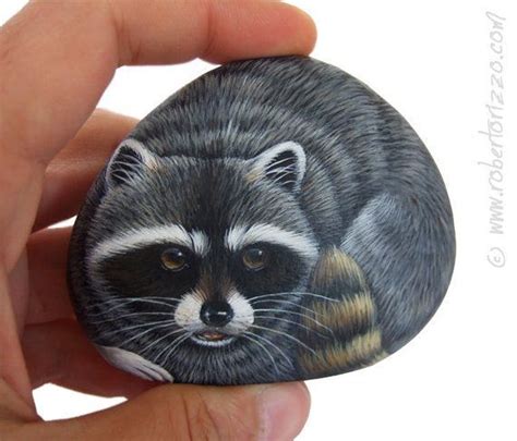 An Original Stone Painted Raccoon Rock Painting Art By Roberto Rizzo
