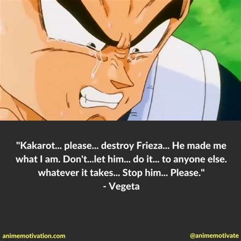 As mentioned, vegeta helped establish the classic anime trope of the hero's rival, and few quotes summarise that trope better than this one. The Greatest Vegeta Quotes Dragon Ball Z Fans Will Appreciate