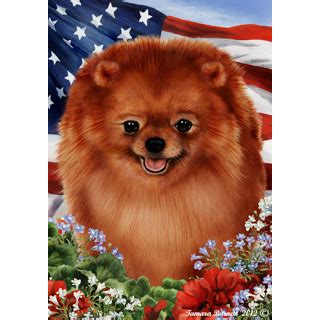 Take a selfie, apply hairstyles, then create your own custom selfie haircut! Patriotic Pomeranian Flag (With images) | Pomeranian puppy ...