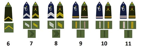 Ranks Of The French Army Militär Wissen