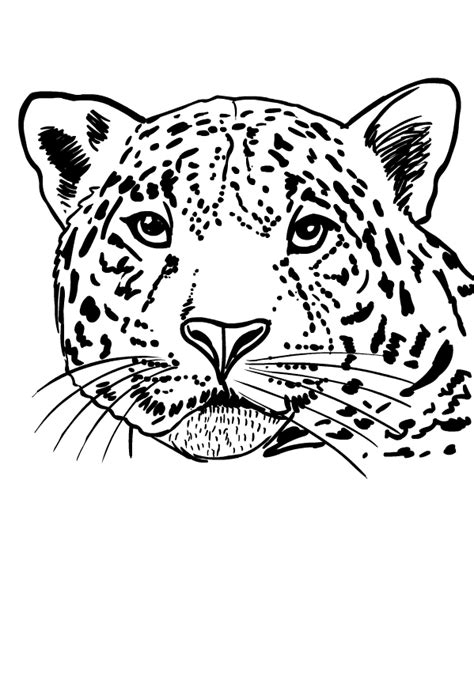 Dibujo De Jaguar Para Colorear Dibujos Para Colorear Kulturaupice