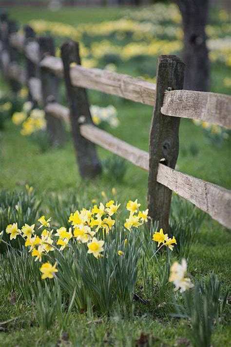 Check spelling or type a new query. rustic-fence-and-daffodils-decor-ideas | HomeMydesign
