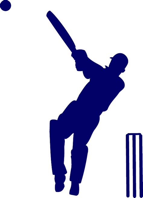 Cricket Png Transparent Image Download Size 567x785px