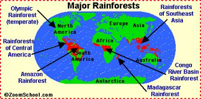 Running parallel above and below the equator are two more imaginary lines: Location - Tropical Rainforests