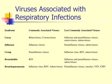 Ppt Respiratory Viruses Powerpoint Presentation Id158054