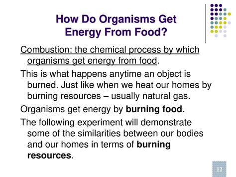 How Do Organisms Get Energy From Food Ppt Download