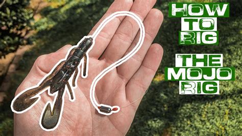 How To Tie A Mojo Rig Youtube