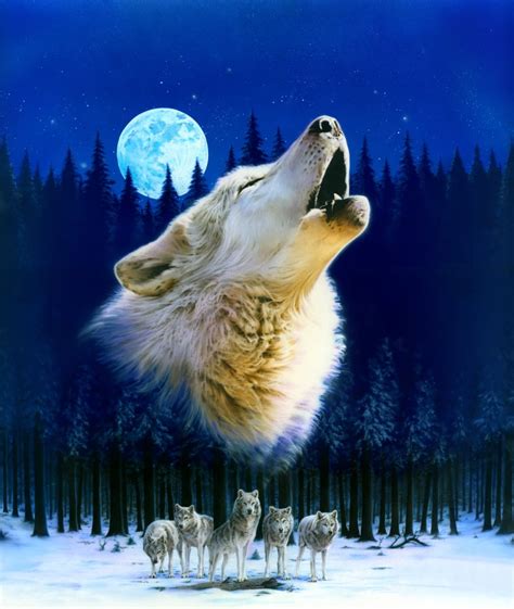 Howling Wolf Variant 1 Poster Print By Robin Koni