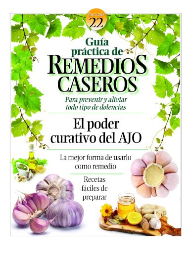Top 129 Recetas De Remedios Caseros Con Imagenes Mx