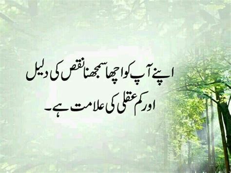 Urdu Quotes Image By Sumaiya Deep Words Fun Poetry Urdu Quotes