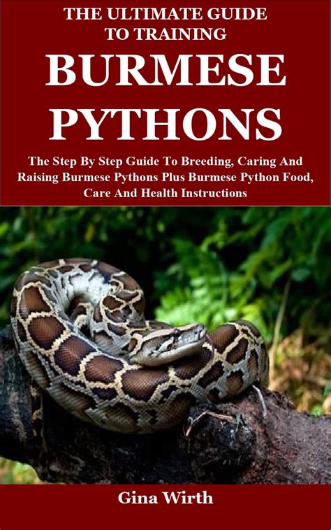 The Ultimate Guide To Training Burmese Pythons The Step By Step Guide