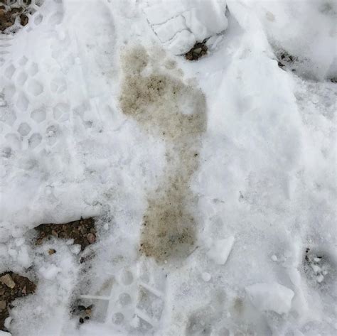 Footprint In The Snow Photograph By Wyoming Beautiful