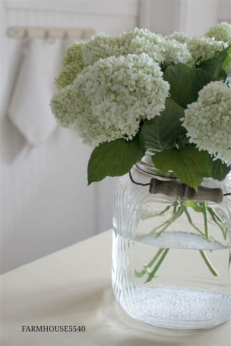 If new growth has already formed at the base of the clump, cut to just above it. FARMHOUSE 5540: Fresh Cut Flowers