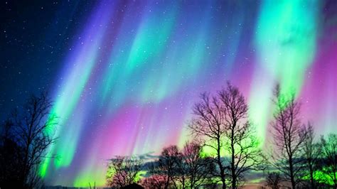 Collisions with oxygen produce red and green auroras, while nitrogen produces the pink and purple colors. See The Northern Lights Before They Go Dim - YouTube