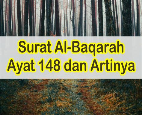 Yuk Bahas Surah Al Baqarah Ayat Beserta Artinya Dan Tajwidnya