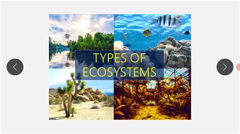 Biotic Component Of Ecosystem Consumers Youtube
