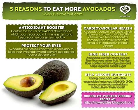 5 Reasons To Eat More Avocados Healthy Herbs Avocado Healthy