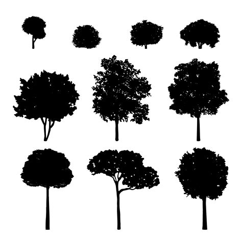 Collection Of Tree Silhouettes Vector Download Free Vectors Clipart