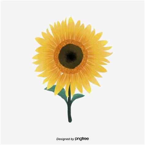 Download free sunflower png with transparent background. Download High Quality sunflower clipart aesthetic ...