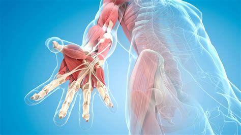 Fascia And Rheumatoid Arthritis Symptoms Everyday Health