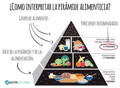 Pir Mide Alimenticia Lo Que Debes Saber Nutri En L Nea Hot Sex Picture