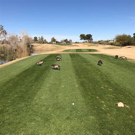 Cave Creek Golf Course Phoenix 2023 What To Know Before You Go