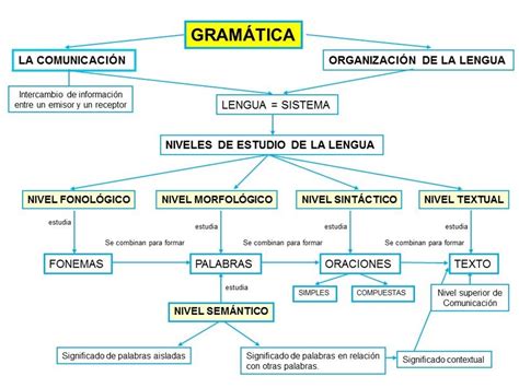 Niveles De La Lengua Española Una Guía Completa Para Los Estudiantes