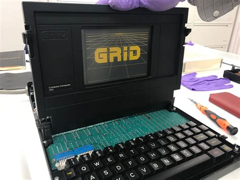 Mutter Tolle Eiche Rache Grid Laptop Aufnahmegebühr Kostüme Sichtbar