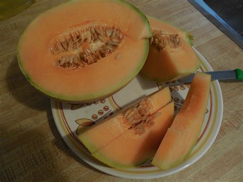 Check spelling or type a new query. Do you enjoy eating cantaloupes? / myLot