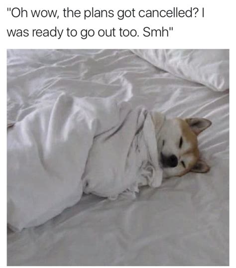 24 Funny Sleep Memes For Sleep Deprived People To Relate To Sittercity